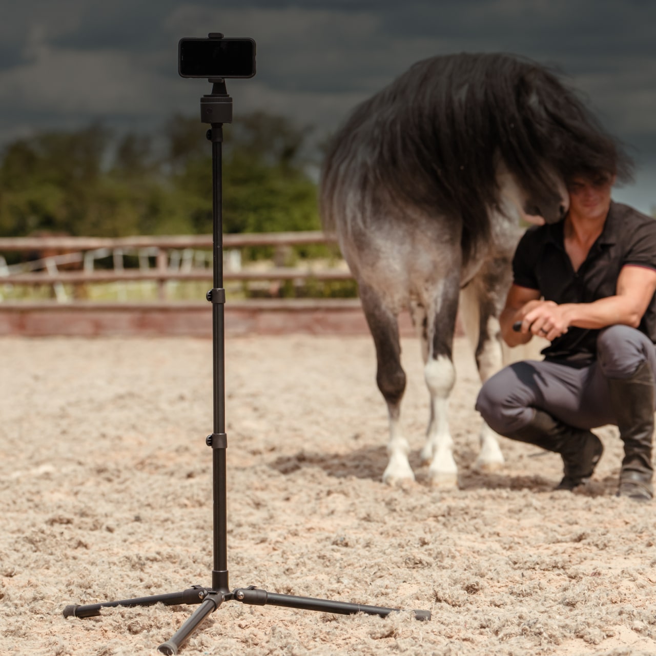 Pivo 63" extendable cell phone tripod in outdoor setting with a horse and a person nearby.