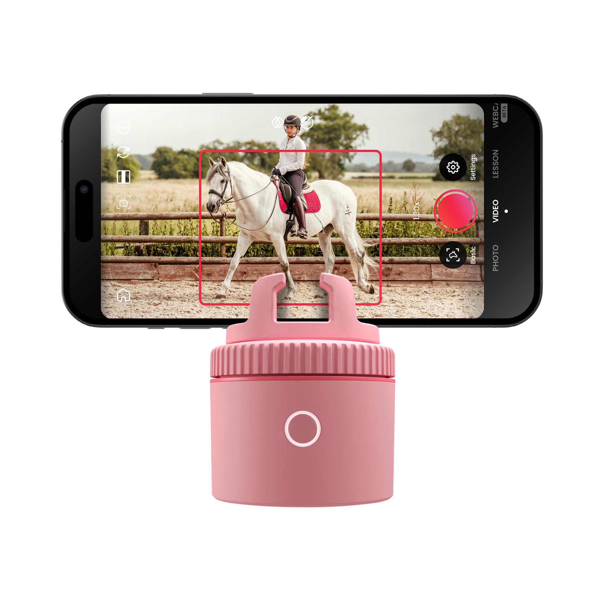 Pink / Equestrian Pod